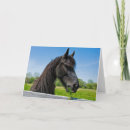 Search for black horse cards Equestrian