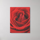 Search for affection canvas prints Nobody