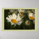 Search for spring bloom posters Floral