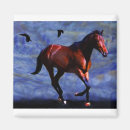 Search for twilight magnets Horse
