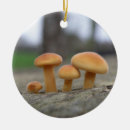 Search for tiny small christmas tree decorations Fungi