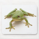 Search for tree frog mousepads Cute