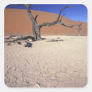 Search for dunes stickers Namibia