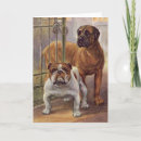 Search for bulldog puppies cards Bulldogs