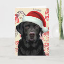 Search for black lab christmas cards Watercolor