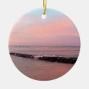 Search for sea turtle christmas tree decorations Tropical