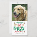 Search for paws christmas cards Pet photo