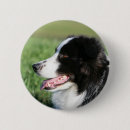 Search for border collie dog badges Puppy