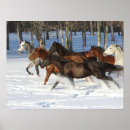 Search for horse breed posters Herd