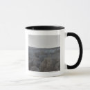 Search for dead sea mugs Outdoors