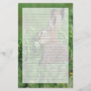 Search for lepus Wildlife