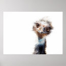 Search for big eyes posters Funny