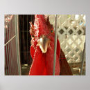 Search for chicken decor posters Rooster