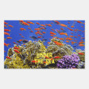 Search for blue coral reef stickers Under the sea