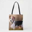Search for jack russell bags Cute