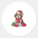 Search for havanese stickers Wolf