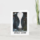 Search for cow birthday cards Holstein