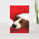 Search for hound dog christmas cards Santa