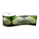 Search for hydrangea ribbon Blue