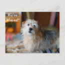 Search for terrier stamp invitations New address