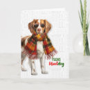 Search for spaniel dog cards Dogs