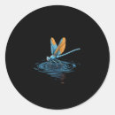 Search for rainbow dragon stickers Dragonfly