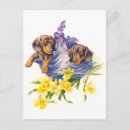 Search for dachshund mothers day cards Mum