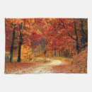 Search for maple tree Forest
