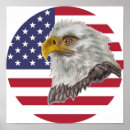 Search for american bald eagle art Us flag