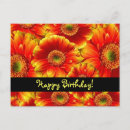 Search for happy birthday daisy flower postcards Gerbera