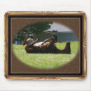 Search for foals mousepads Filly
