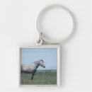 Search for animal day key rings Field