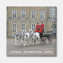 Search for copenhagen magnets Souvenir