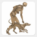 Search for human anatomy stickers Biology