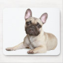 Search for bulldogs mousepads Puppy
