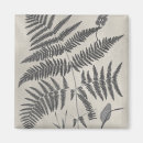 Search for fern magnets Plants