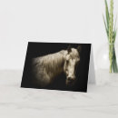 Search for black white photography cards Animals