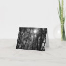 Search for sun cards Tree