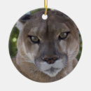 Search for cougar christmas tree decorations Animal