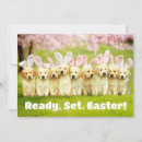 Search for bunny invitations Funny