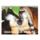 Search for madagascar Wildlife
