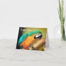Search for blue paint cards Animal