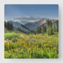 Search for rockies art Pine tree