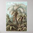 Search for ferns art Forms in nature