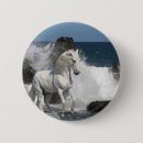 Search for southern round badges Sea