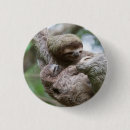 Search for cute sloth badges Rainforest