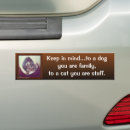 Search for tabby bumper stickers Cat lover