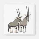 Search for antelopes magnets Cute