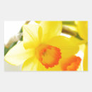 Search for easter celebration stickers Yellow