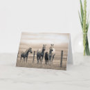 Search for quarter cards Horse